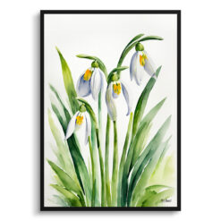 Galanthus Elwesii Minimalist Watercolour Botanical Art Print - Giant Snowdrop Framed Plant Wall Art