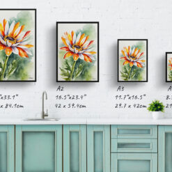 Gazania Watercolour Botanical Art Print - Treasure Flower Framed Plant Wall Art 9 watercolour botanical print flowers gazania print size comparison