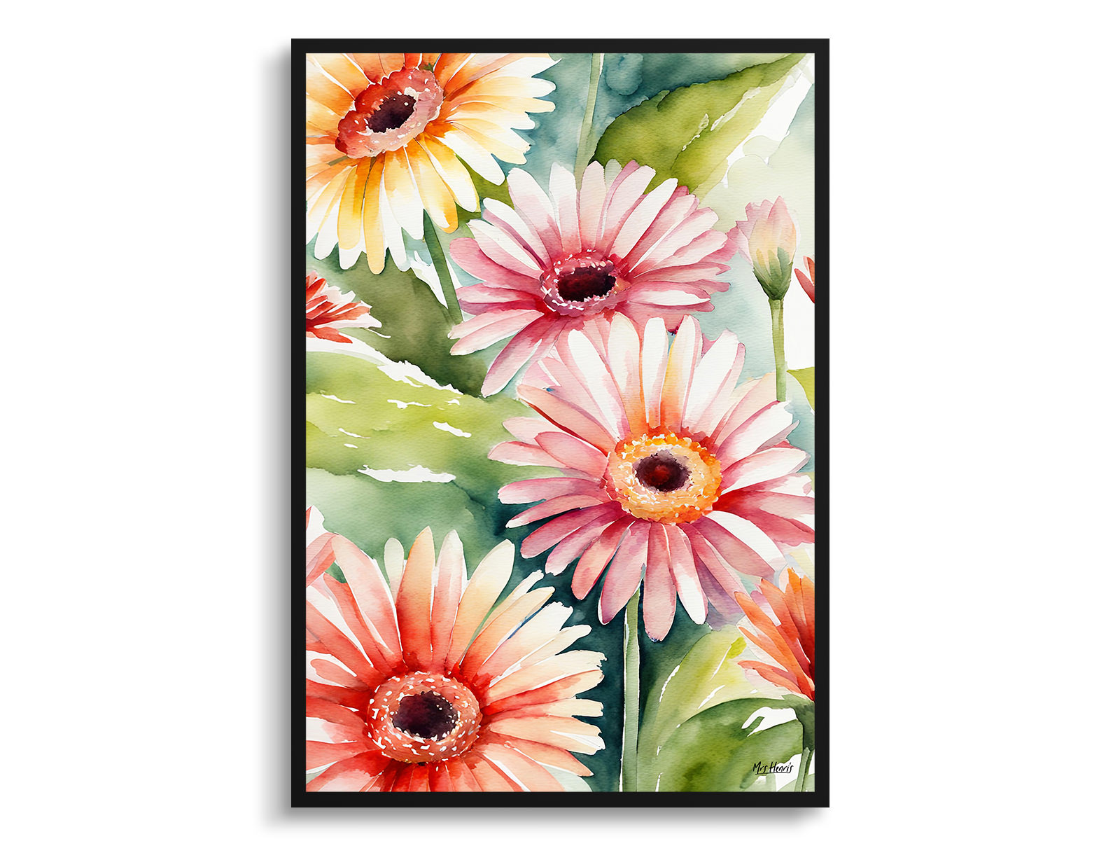 Gerbera Watercolour Botanical Art Print - Jamesonii daisy Framed Plant Wall Art 3 Gerbera Watercolour Botanical Art Print - Jamesonii daisy Framed Plant Wall Art