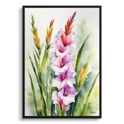 Gladiolus Communis Byzantinus Watercolour Botanical Art Print - Sword Lily Framed Plant Wall Art