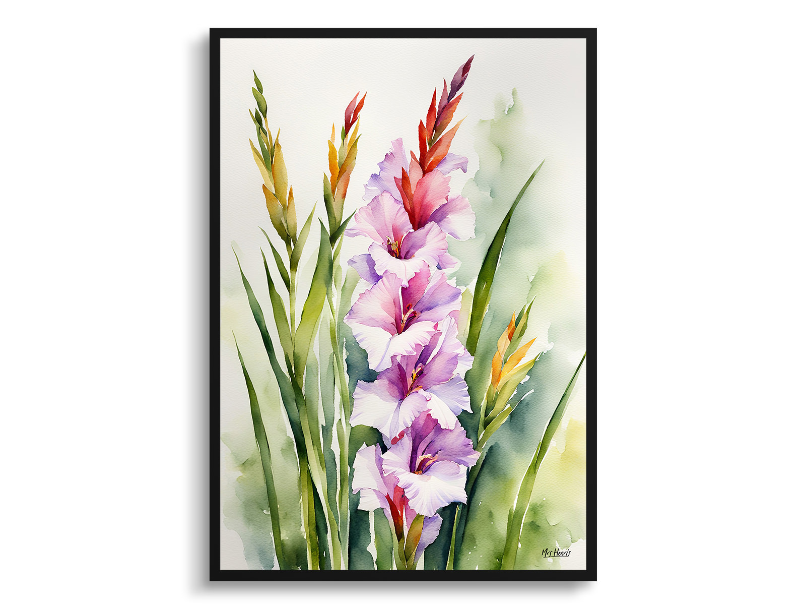 Gladiolus Communis Byzantinus Watercolour Botanical Art Print - Sword Lily Framed Plant Wall Art 3 Gladiolus Communis Byzantinus Watercolour Botanical Art Print - Sword Lily Framed Plant Wall Art