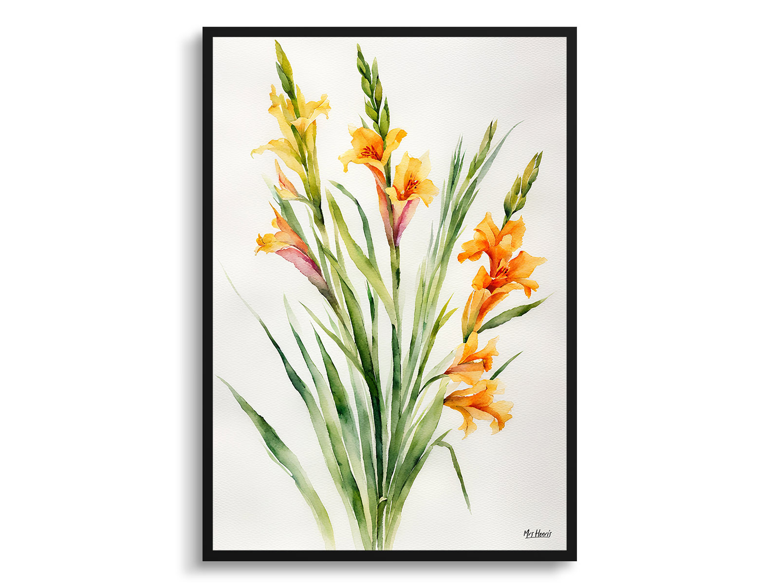 Gladiolus Communis Byzantinus Minimalist Watercolour Botanical Art Print - Sword Lily Framed Plant Wall Art 3 Gladiolus Communis Byzantinus Minimalist Watercolour Botanical Art Print - Sword Lily Framed Plant Wall Art