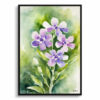 Hesperis Matronalis Watercolour Botanical Art Print - Dame's Rocket Framed Plant Wall Art 1 watercolour botanical print flowers hesperis matronalis front view