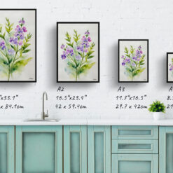 Hesperis Matronalis Minimalist Watercolour Botanical Art Print - Dame's Rocket Framed Plant Wall Art 9 watercolour botanical print flowers hesperis matronalis minimalist print size comparison