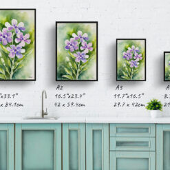 Hesperis Matronalis Watercolour Botanical Art Print - Dame's Rocket Framed Plant Wall Art 9 watercolour botanical print flowers hesperis matronalis print size comparison