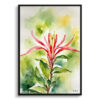 watercolour botanical print flowers honeysuckle front view