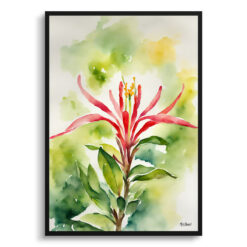 honeysuckle Watercolour Botanical Art Print - Trumpet Flower Framed Plant Wall Art