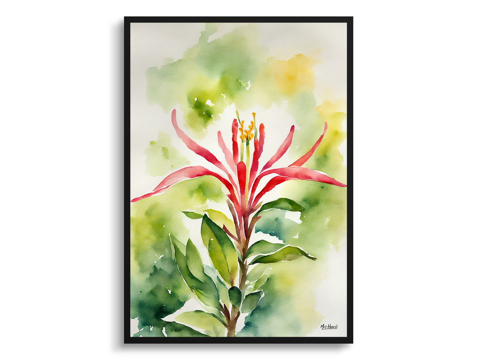 honeysuckle Watercolour Botanical Art Print - Trumpet Flower Framed Plant Wall Art 3 honeysuckle Watercolour Botanical Art Print - Trumpet Flower Framed Plant Wall Art
