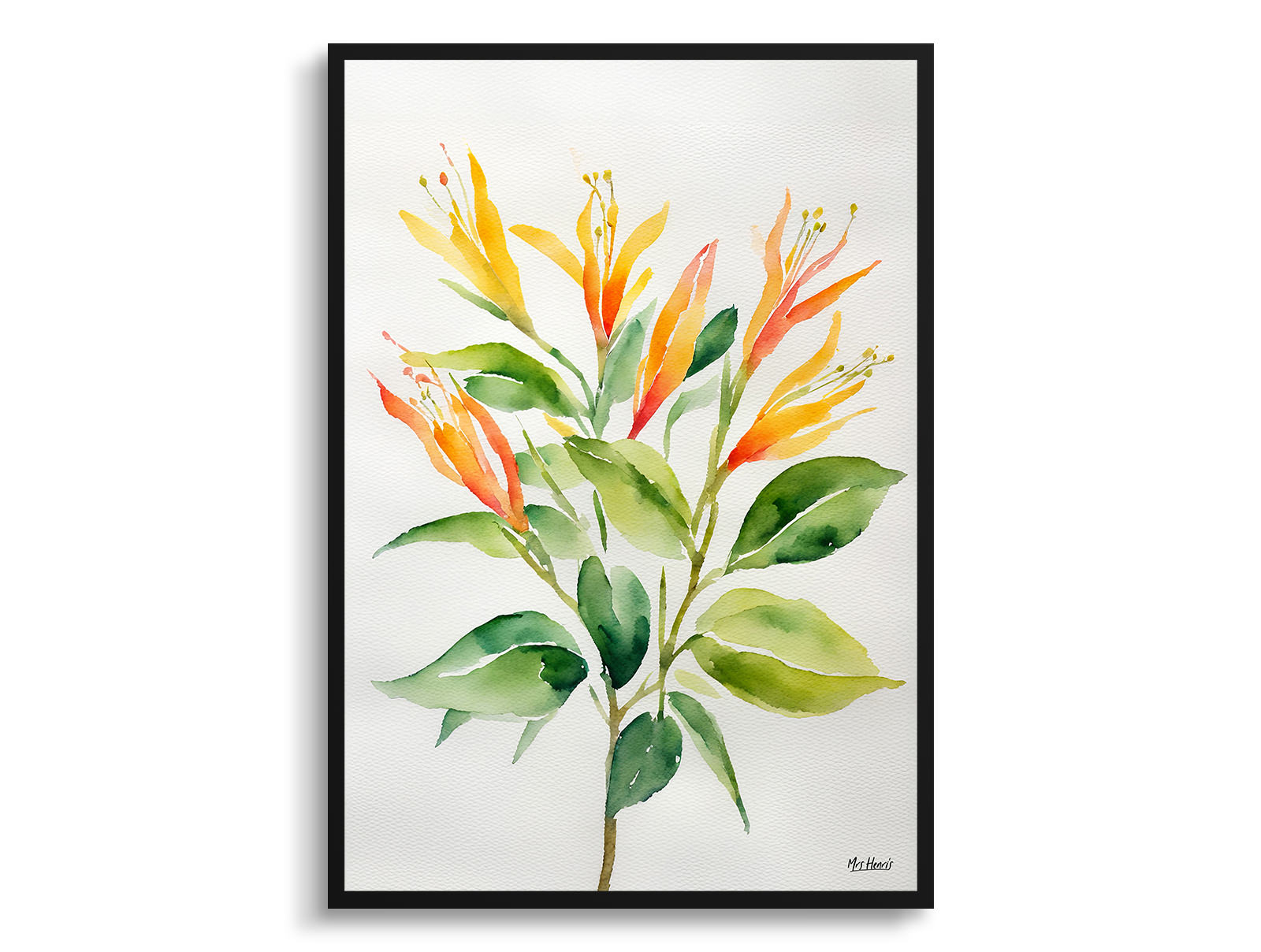 Honeysuckle Minimalist Watercolour Botanical Art Print - Trumpet Flower Framed Plant Wall Art 3 Honeysuckle Minimalist Watercolour Botanical Art Print - Trumpet Flower Framed Plant Wall Art