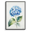 watercolour botanical print flowers hydrangea minimalist front view