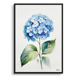 Hydrangea Minimalist Watercolour Botanical Art Print - Hortensia Framed Plant Wall Art