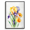 watercolour botanical print flowers iris minimalist front view