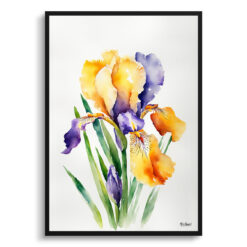 Iris Minimalist Watercolour Botanical Art Print - Fleur-de-lis Framed Plant Wall Art
