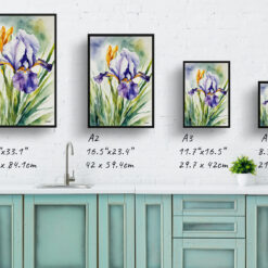 watercolour botanical print flowers iris print size comparison