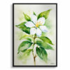 Jasmine Watercolour Botanical Art Print - Jasminum officinale Framed Plant Wall Art 1 watercolour botanical print flowers jasmine front view