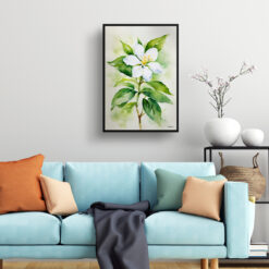 watercolour botanical print flowers jasmine living room