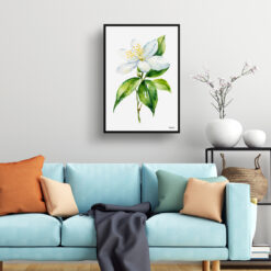Jasmine Minimalist Watercolour Botanical Art Print - Jasminum officinale Framed Plant Wall Art 7 watercolour botanical print flowers jasmine minimalist living room
