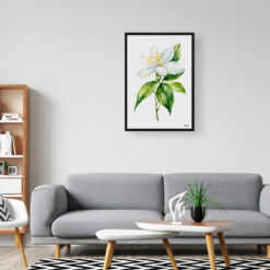 Jasmine Minimalist Watercolour Botanical Art Print - Jasminum officinale Framed Plant Wall Art 8 watercolour botanical print flowers jasmine minimalist office