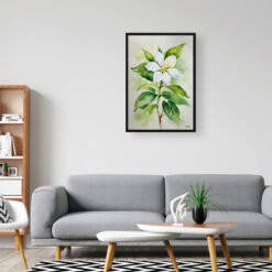 watercolour botanical print flowers jasmine office