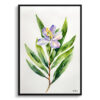 watercolour botanical print flowers laurel minimalist front view