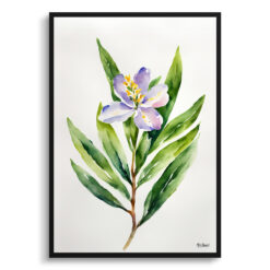 Laurel Minimalist Watercolour Botanical Art Print - Sweet Bay Framed Plant Wall Art