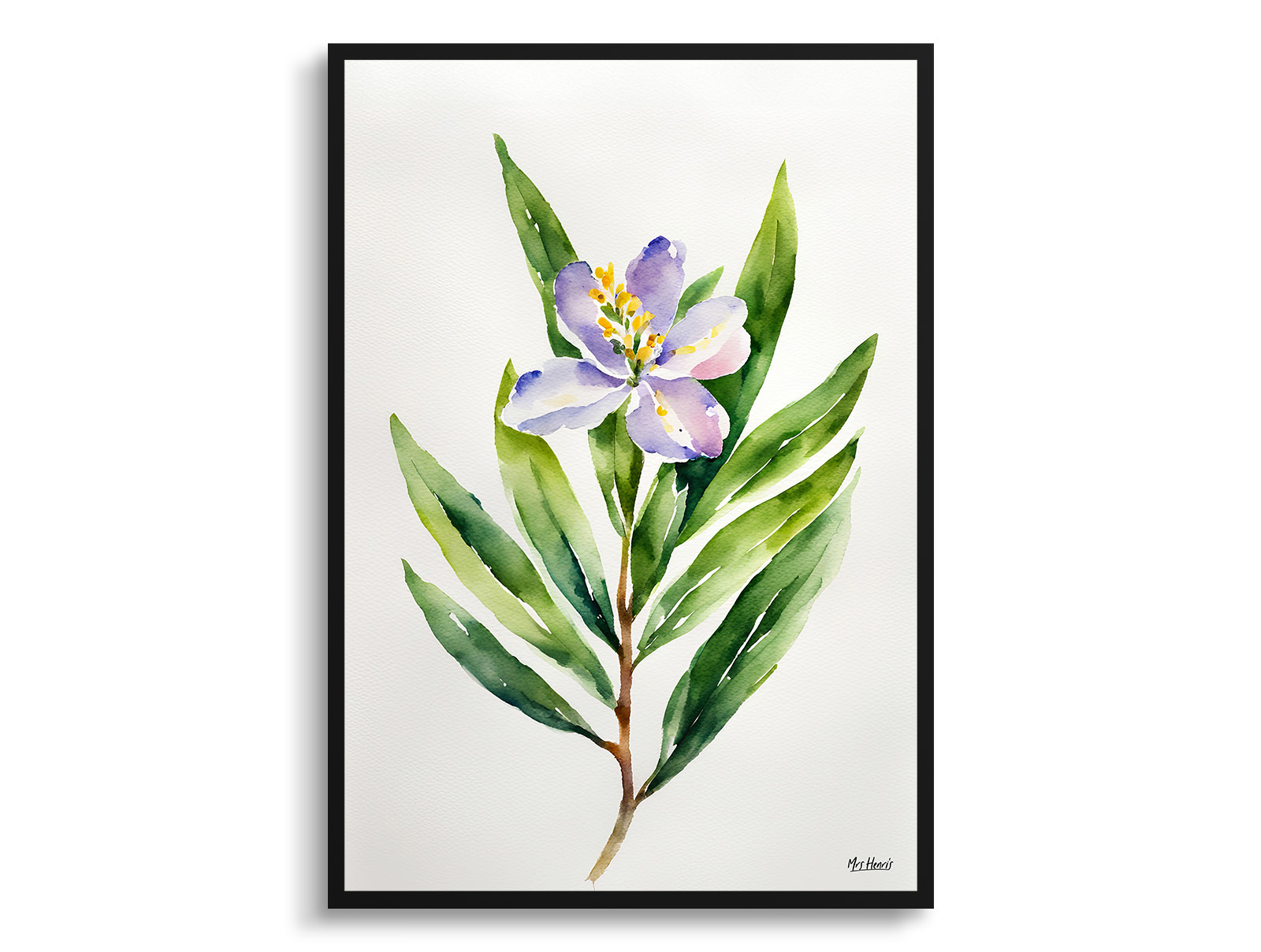 Laurel Minimalist Watercolour Botanical Art Print - Sweet Bay Framed Plant Wall Art 3 Laurel Minimalist Watercolour Botanical Art Print - Sweet Bay Framed Plant Wall Art