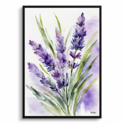 Lavender Watercolour Botanical Art Print -  English Framed Plant Wall Art