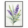 watercolour botanical print flowers lavender minimalist front view