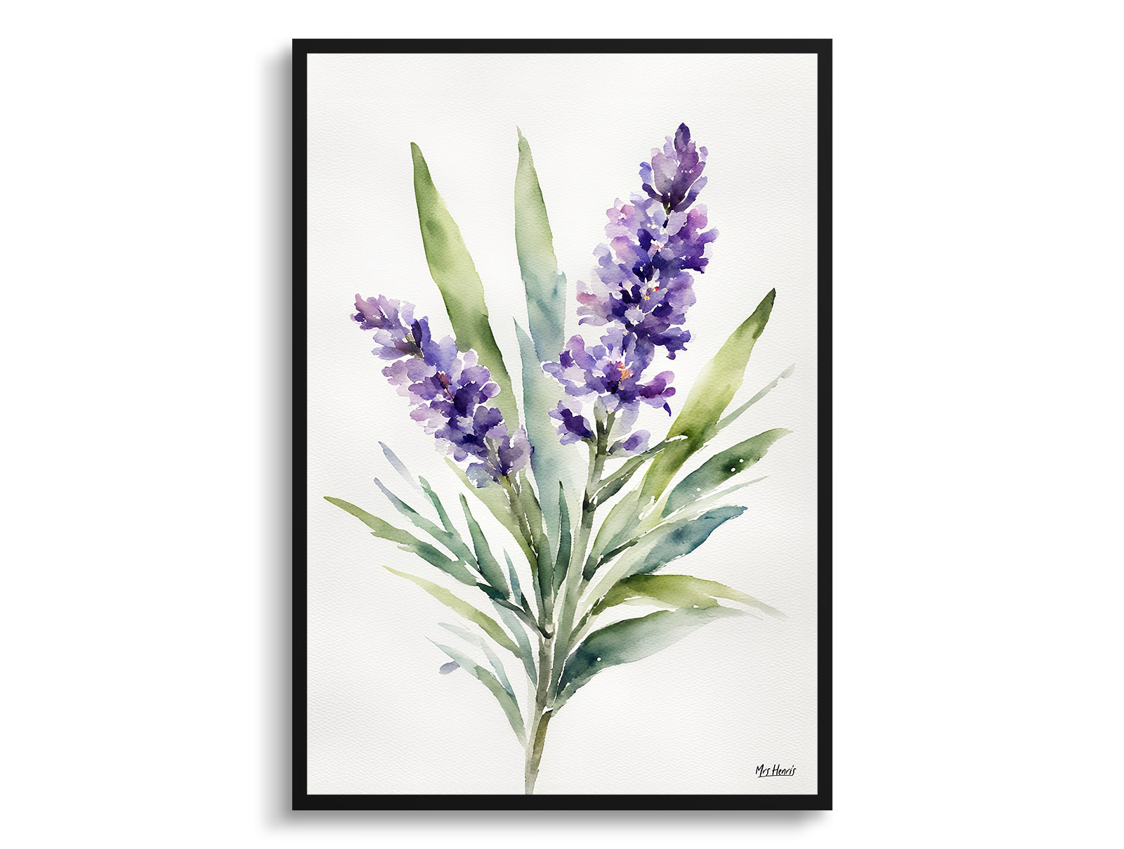 Lavender Minimalist Watercolour Botanical Art Print - English Framed Plant Wall Art 3 Lavender Minimalist Watercolour Botanical Art Print - English Framed Plant Wall Art