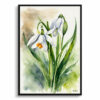 Leucojum Aestivum Gravetye Watercolour Botanical Art Print - Giant Snowflake Framed Plant Wall Art 2 watercolour botanical print flowers leucojum aestivum gravetye giant front view
