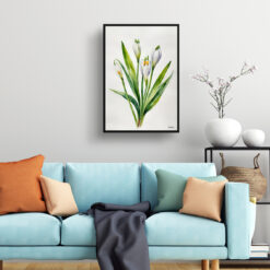 watercolour botanical print flowers leucojum aestivum gravetye giant minimalist living room