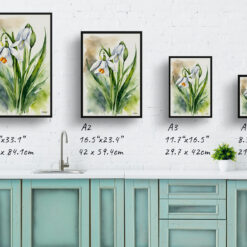 Leucojum Aestivum Gravetye Watercolour Botanical Art Print - Giant Snowflake Framed Plant Wall Art 9 watercolour botanical print flowers leucojum aestivum gravetye giant print size comparison