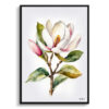 watercolour botanical print flowers magnolia minimalist front view
