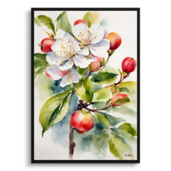 Malus Domestica Watercolour Botanical Art Print - Howgate Wonder Apple Framed Plant Wall Art