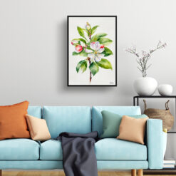 watercolour botanical print flowers malus domestica howgate wonder minimalist living room