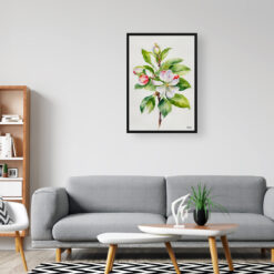 watercolour botanical print flowers malus domestica howgate wonder minimalist office