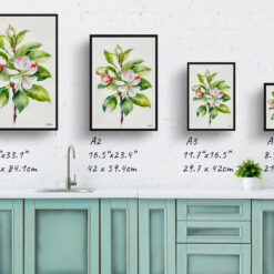 watercolour botanical print flowers malus domestica howgate wonder minimalist print size comparison