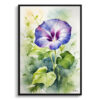Morning Glory Watercolour Botanical Art Print - Blue Framed Plant Wall Art 2 watercolour botanical print flowers morning glory front view