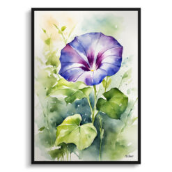 Morning Glory Watercolour Botanical Art Print - Blue Framed Plant Wall Art