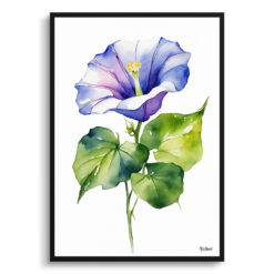 Morning Glory Minimalist Watercolour Botanical Art Print - Blue Framed Plant Wall Art