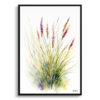 Muhlenbergia capillaris Minimalist Watercolour Botanical Art Print - Hairawn Muhly Framed Plant Wall Art 2 watercolour botanical print flowers muhlenbergia capillaris hairawn muhly minimalist front view