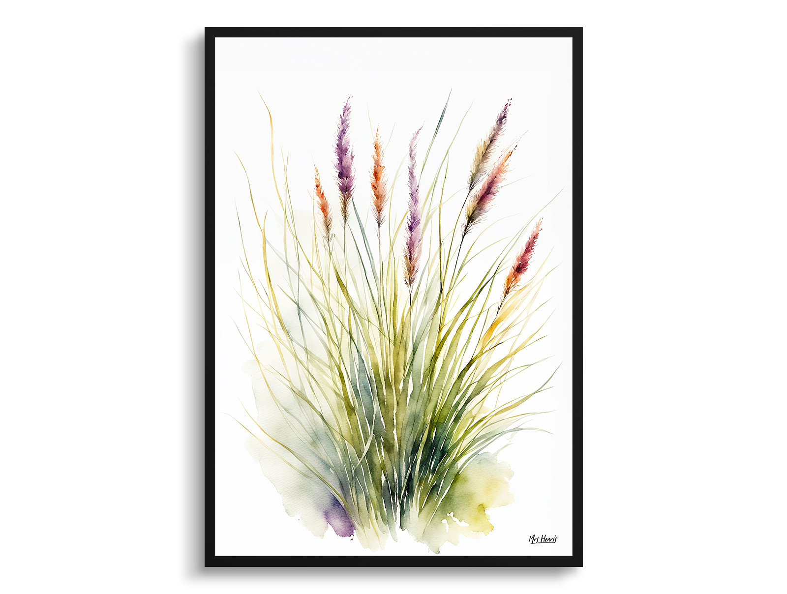 Muhlenbergia capillaris Minimalist Watercolour Botanical Art Print - Hairawn Muhly Framed Plant Wall Art 3 Muhlenbergia capillaris Minimalist Watercolour Botanical Art Print - Hairawn Muhly Framed Plant Wall Art