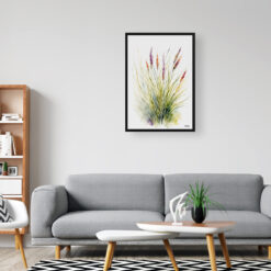 Muhlenbergia capillaris Minimalist Watercolour Botanical Art Print - Hairawn Muhly Framed Plant Wall Art 8 watercolour botanical print flowers muhlenbergia capillaris hairawn muhly minimalist office
