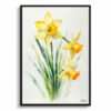Narcissus Hawera Minimalist Watercolour Botanical Art Print - Daffodil Framed Plant Wall Art 1 watercolour botanical print flowers narcissus hawera minimalist front view