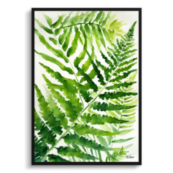 Onoclea Sensibilis Watercolour Botanical Art Print -  Sensitive Fern Framed Plant Wall Art