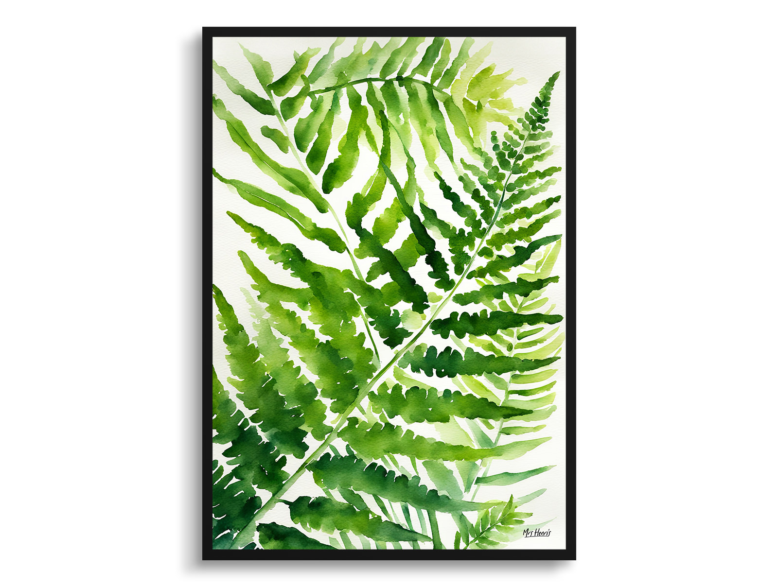 Onoclea Sensibilis Watercolour Botanical Art Print - Sensitive Fern Framed Plant Wall Art 3 Onoclea Sensibilis Watercolour Botanical Art Print - Sensitive Fern Framed Plant Wall Art