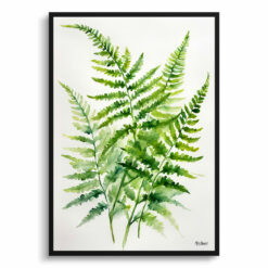 Onoclea Sensibilis Minimalist Watercolour Botanical Art Print -  Sensitive Fern Framed Plant Wall Art
