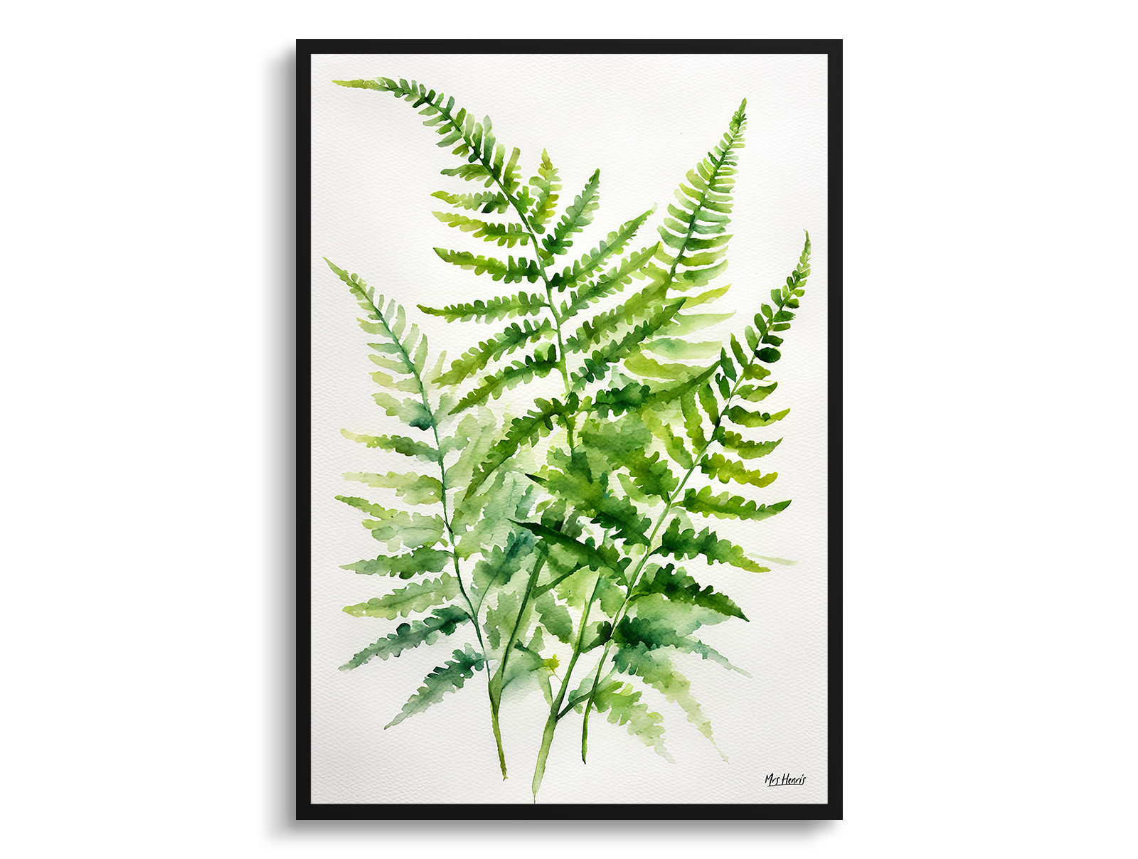 Onoclea Sensibilis Minimalist Watercolour Botanical Art Print - Sensitive Fern Framed Plant Wall Art 3 Onoclea Sensibilis Minimalist Watercolour Botanical Art Print - Sensitive Fern Framed Plant Wall Art