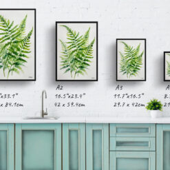 Onoclea Sensibilis Minimalist Watercolour Botanical Art Print - Sensitive Fern Framed Plant Wall Art 9 watercolour botanical print flowers onoclea sensibilis minimalist print size comparison