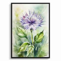 Onopordum Acanthium Watercolour Botanical Art Print -  Cotton Scotch thistle Framed Plant Wall Art